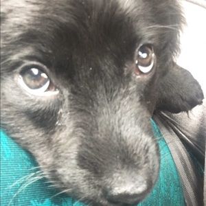 Meet your Posher, Tamara